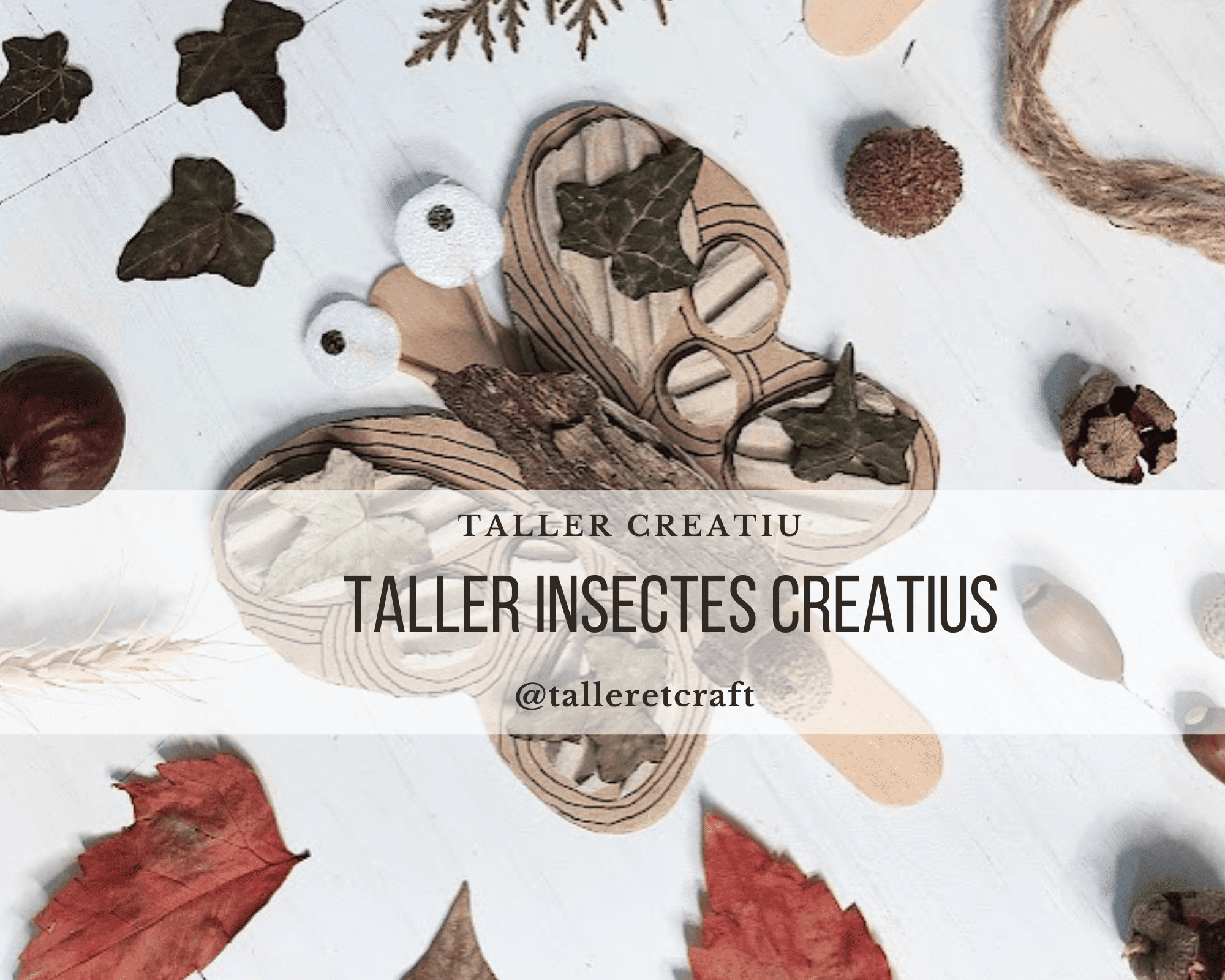 TALLER: d'insectes creatius