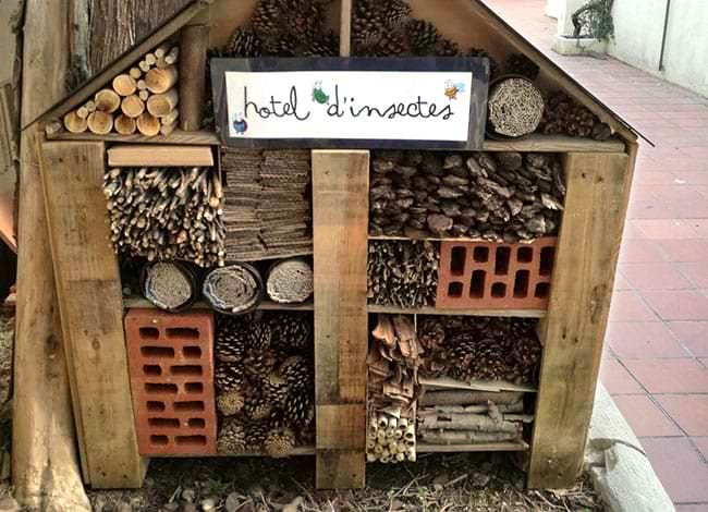 TALLER: Hotel d’insectes