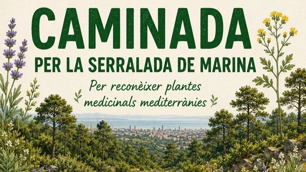 CAMINADA: reconèixer plantes medicinals mediterrànies