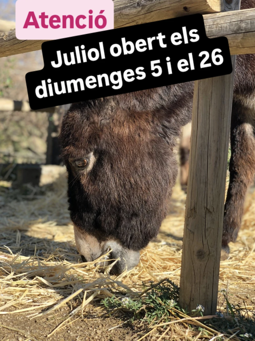 VISITA: Rucs de la Serralada