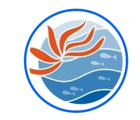 ESPORT: Snorkel a la platja de Montgat 