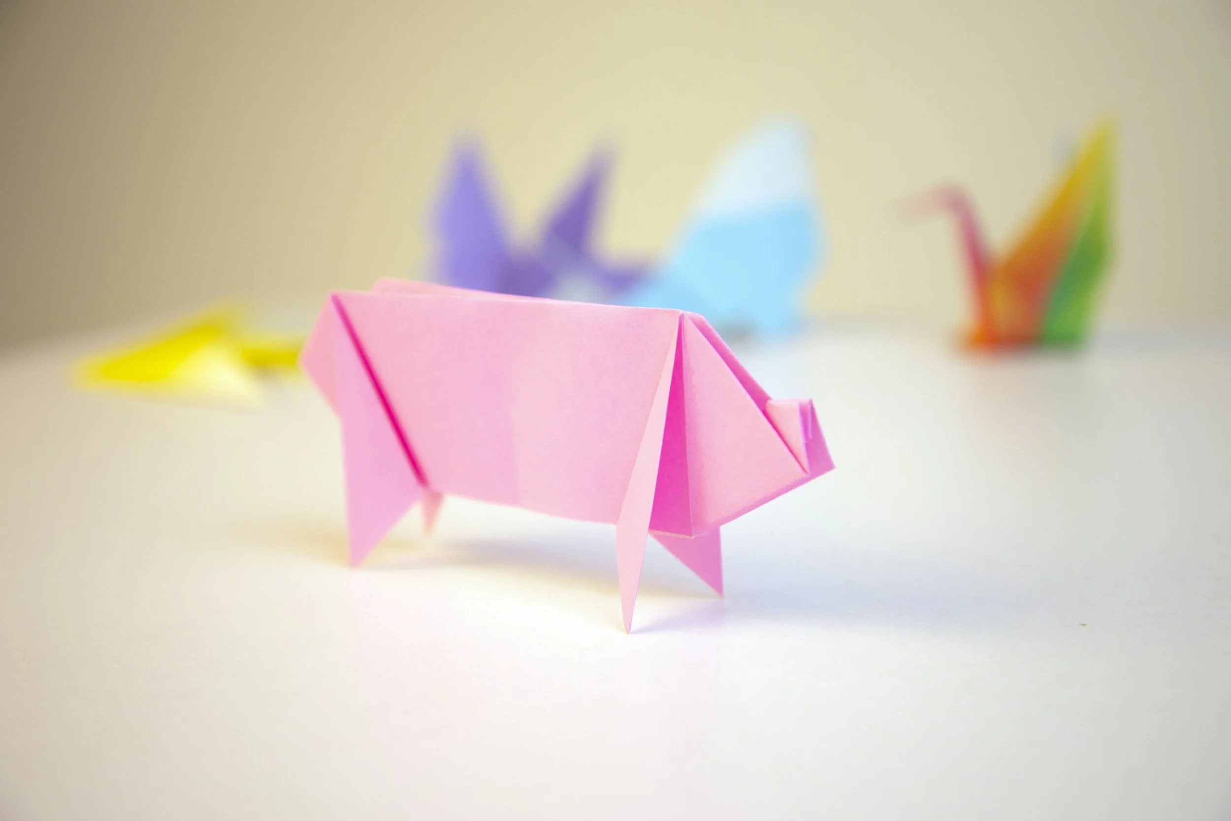 TALLER: Papiroflèxia infantil - Animals marins