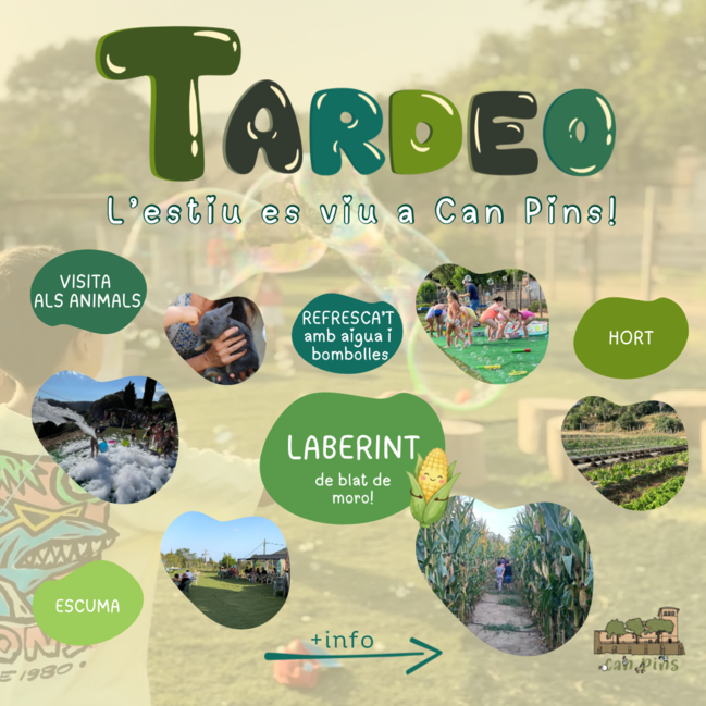 VISITA: "Tardeo" infantil a Can Pins