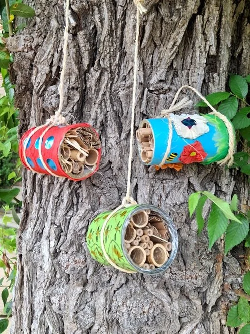 TALLER: Fes el teu hotel d'insectes
