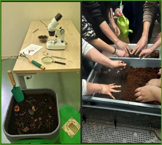 TALLER: Descobreix la granja de cucs