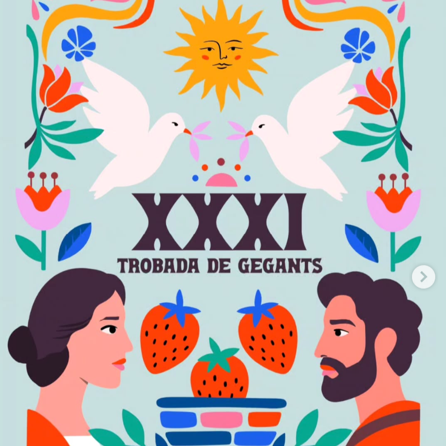 FESTA: XXXI TROBADA DE GEGANTS