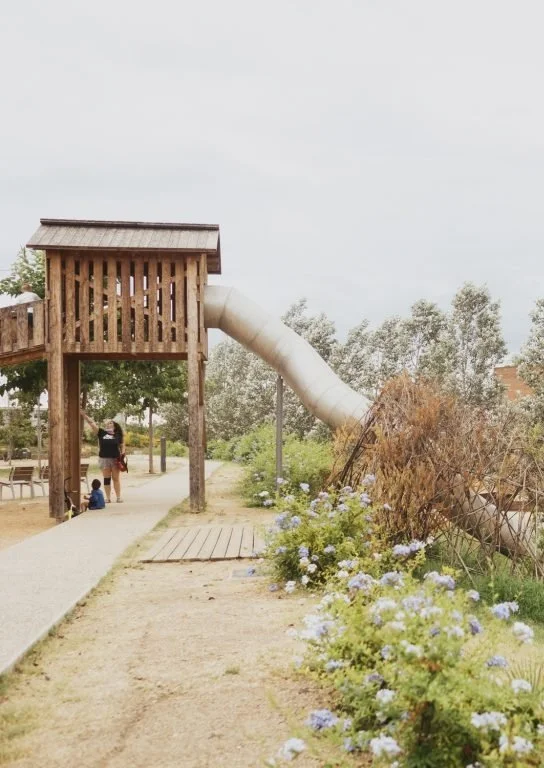 TALLER: Descobrim la biodiversitat