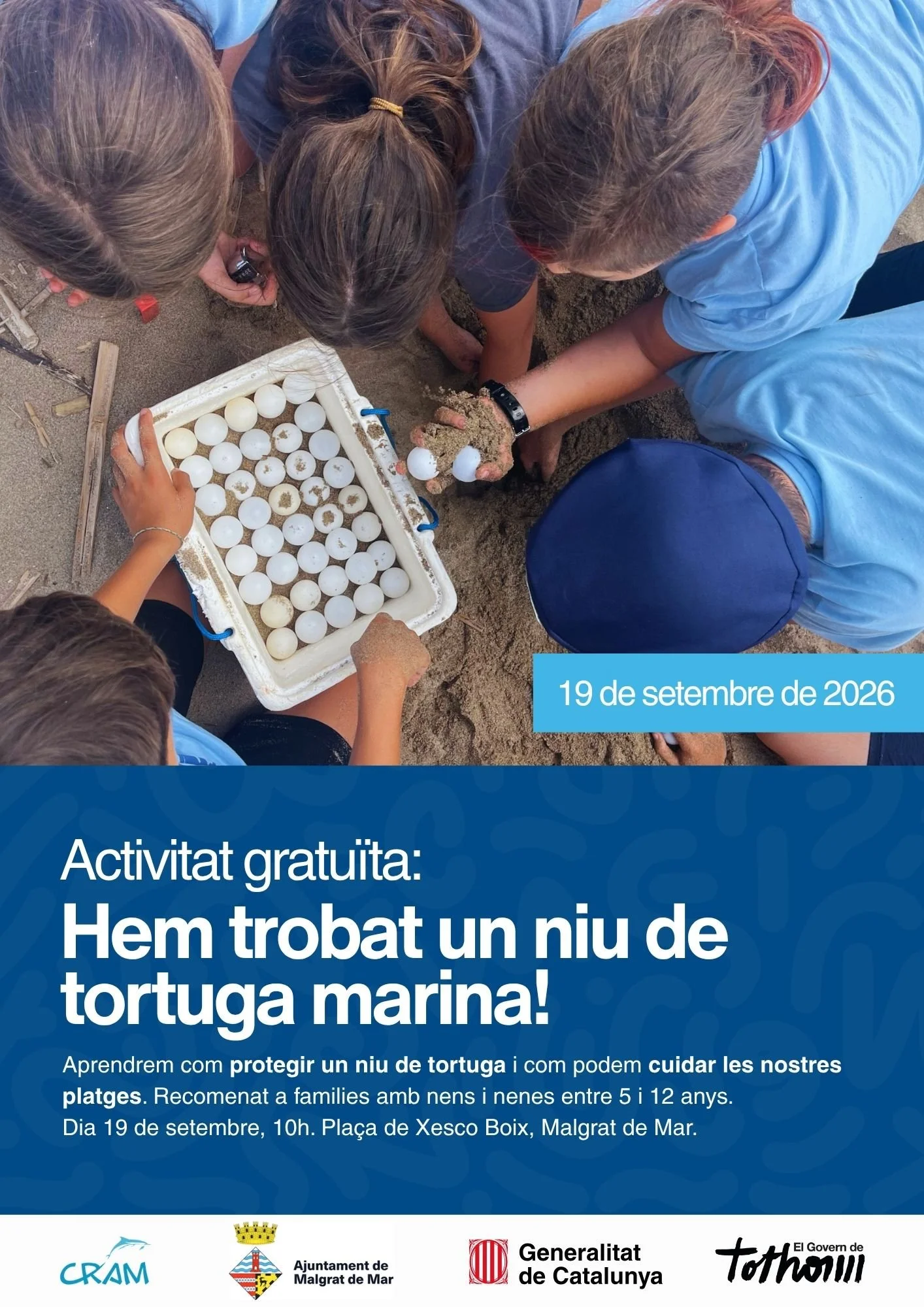 TALLER per protegir un niu de tortuga marina