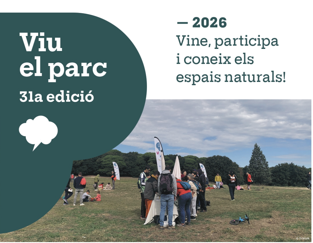 FESTA: Matinal al Parc