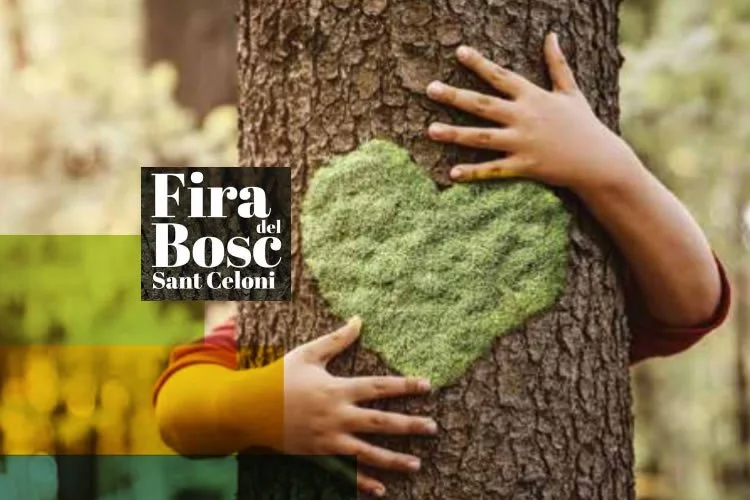 FIRA del Bosc Sant Celoni