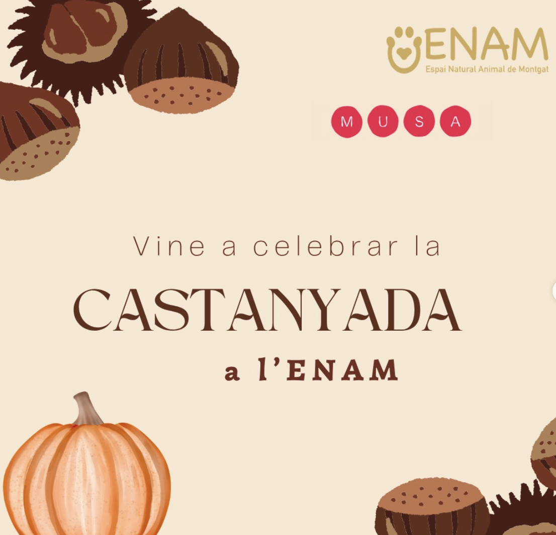FESTA: Celebrem la Castanyada a l’ENAM