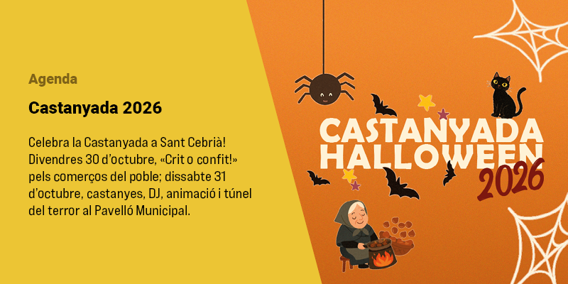 FESTA: Castanyada