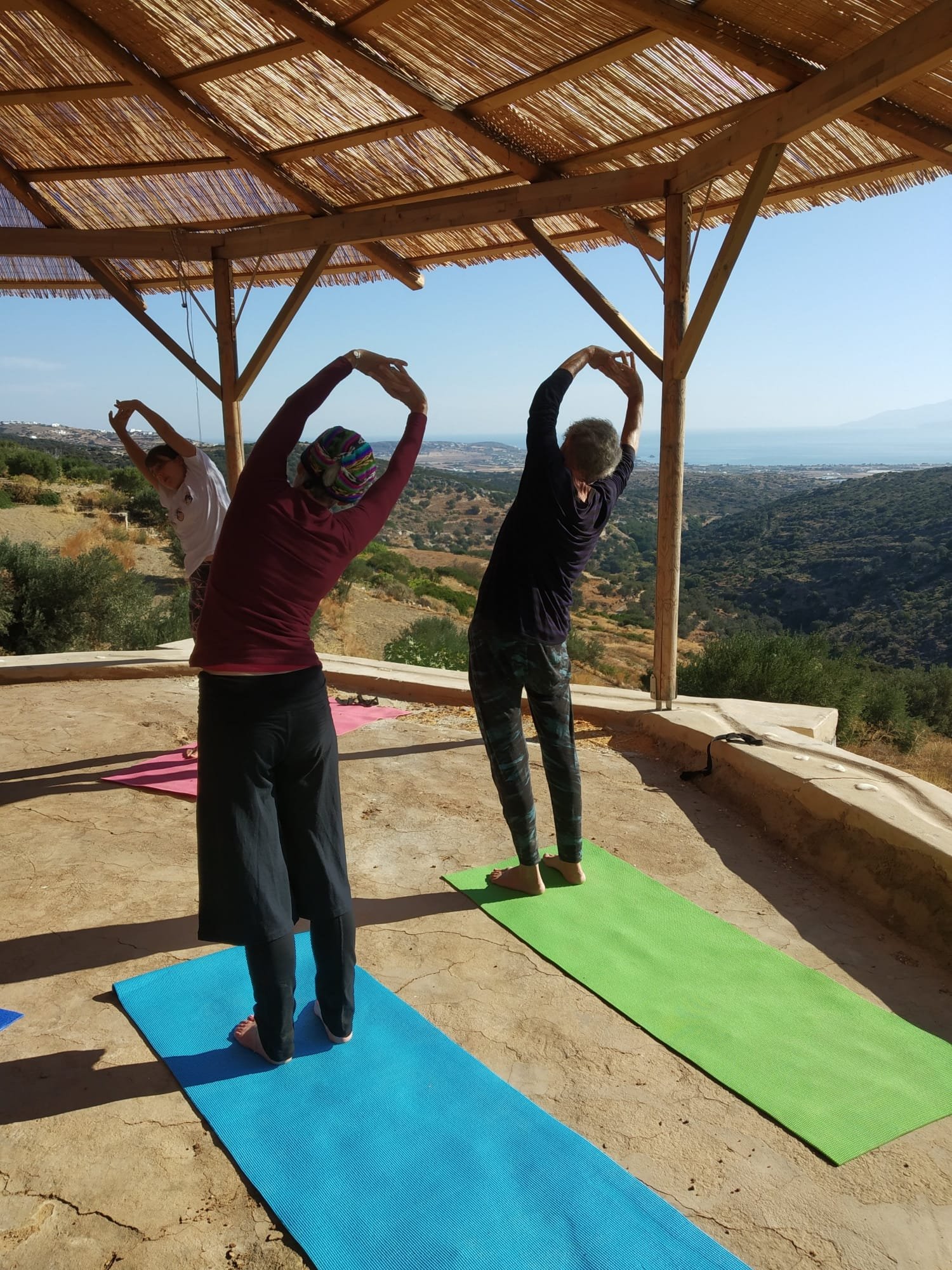 WhatsApp Image 2026-02-09 at 12.52.08.jpeg