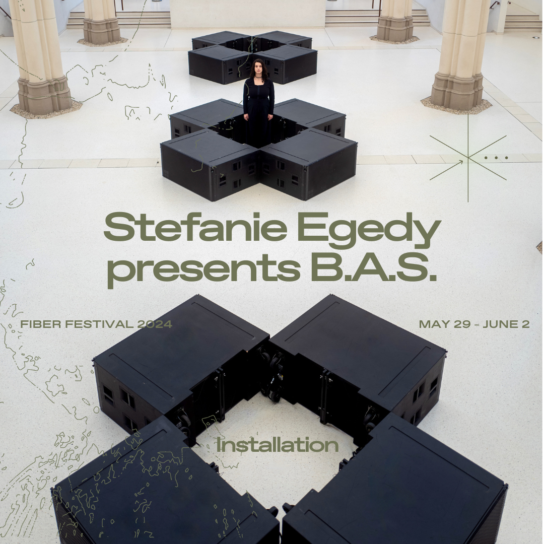 Announcement: B.A.S. Installation by Stefanie Egedy