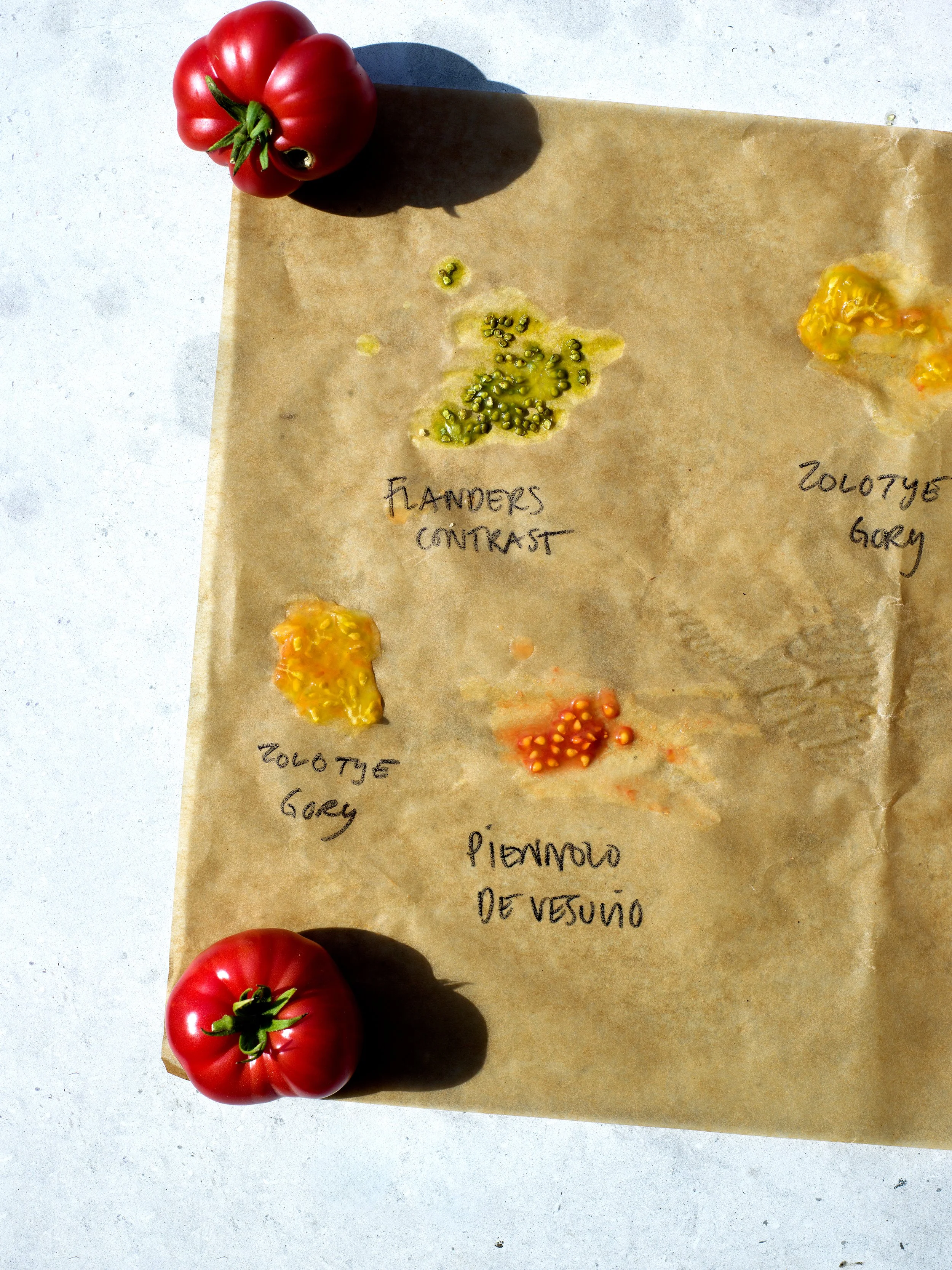 Tomater med Tove Nilsson