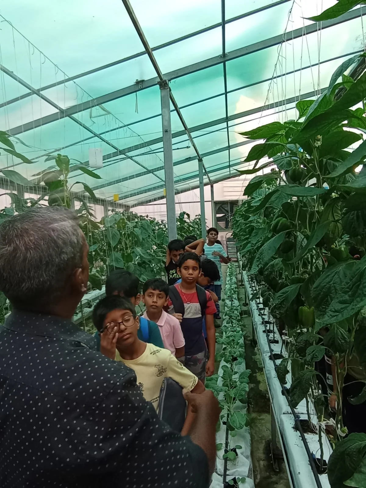 WhatsApp Image 2024-06-08 at 5.29.10 PM.jpeg