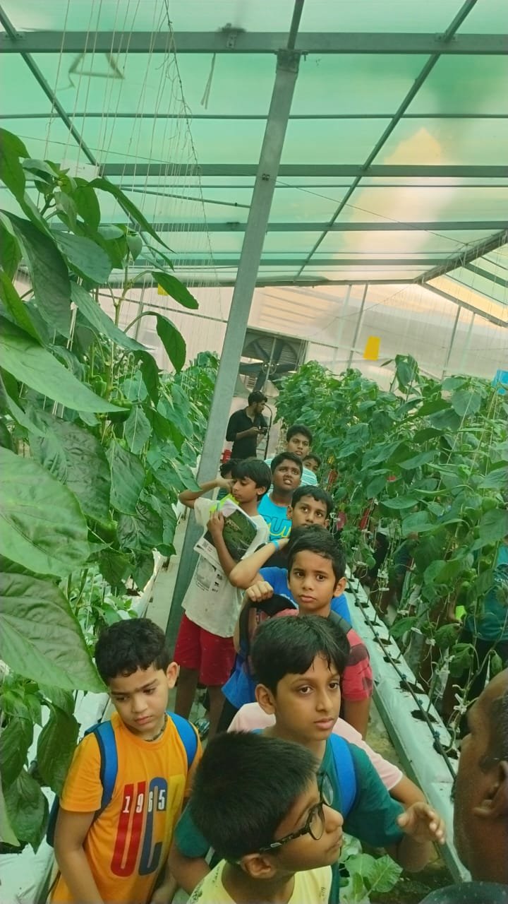 WhatsApp Image 2024-06-08 at 5.28.51 PM.jpeg