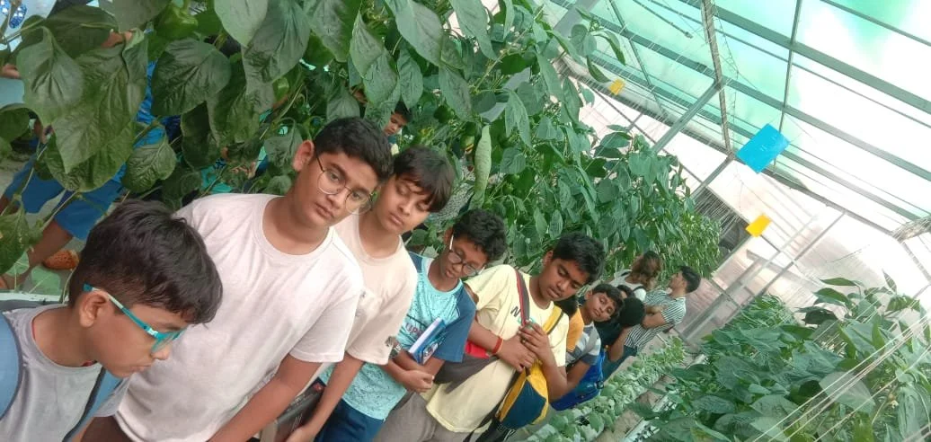 WhatsApp Image 2024-06-08 at 5.35.23 PM.jpeg