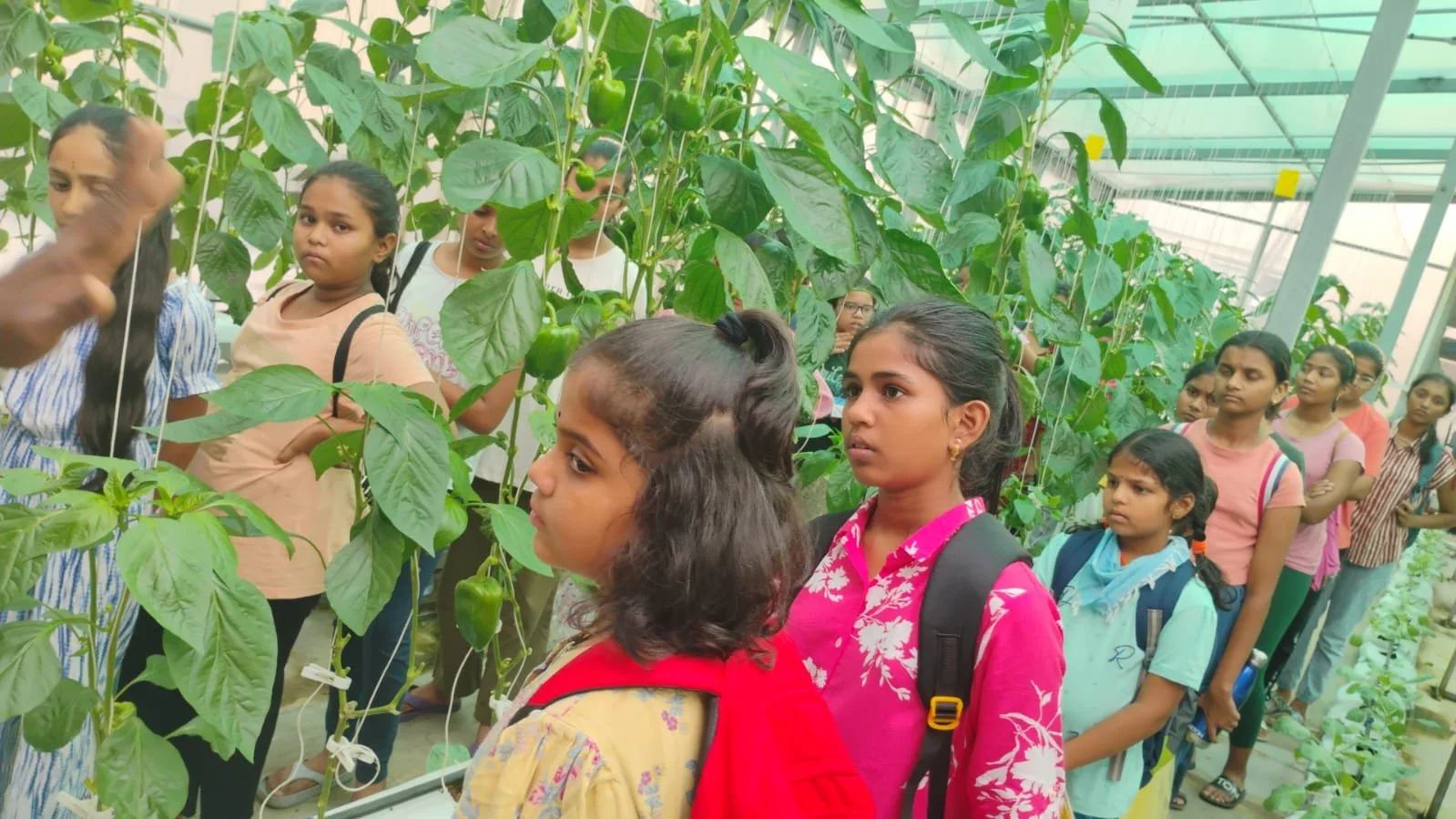 WhatsApp Image 2024-06-08 at 5.42.56 PM.jpeg