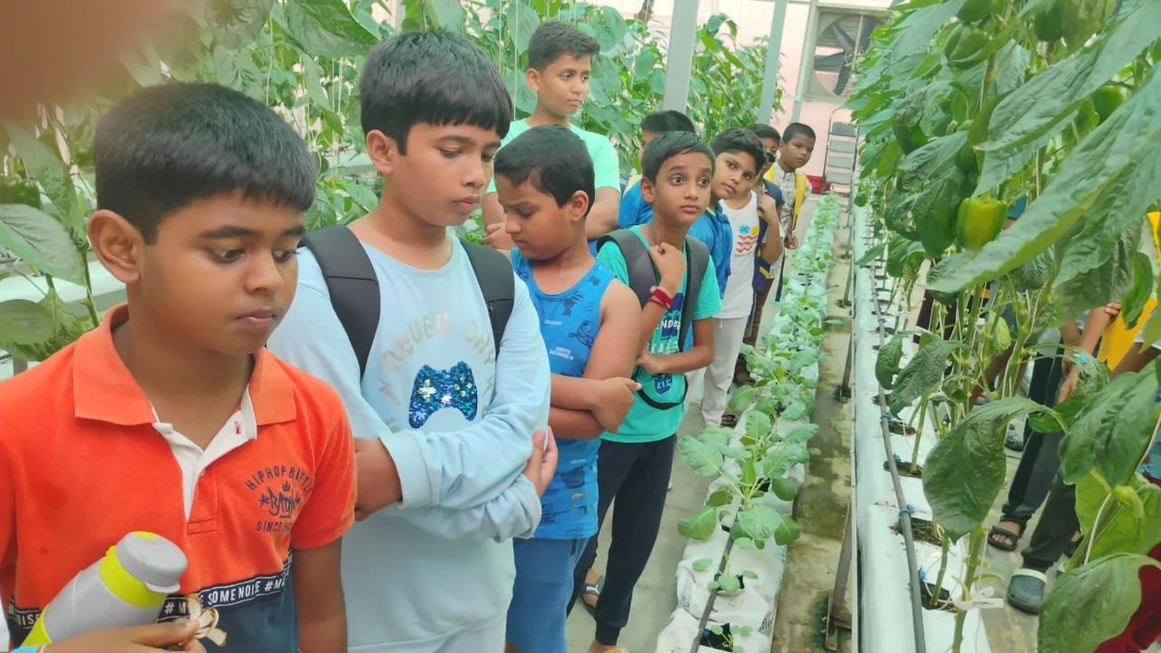 WhatsApp Image 2024-06-08 at 5.32.55 PM.jpeg