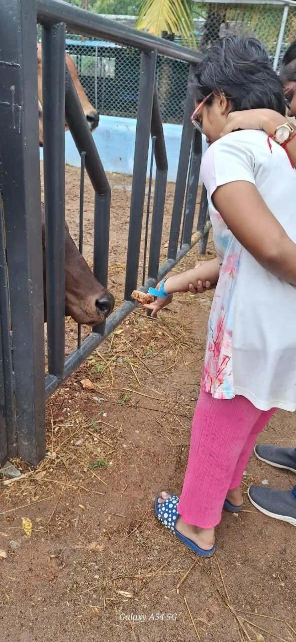 WhatsApp Image 2024-06-10 at 12.40.22 PM.jpeg