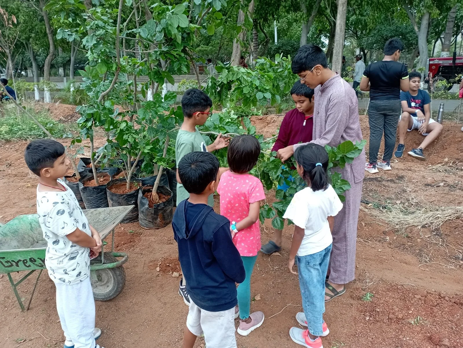 Children and a young man gather around plants in a garden, learning about plants, with pots of young trees in the background, and other children sitting nearby.