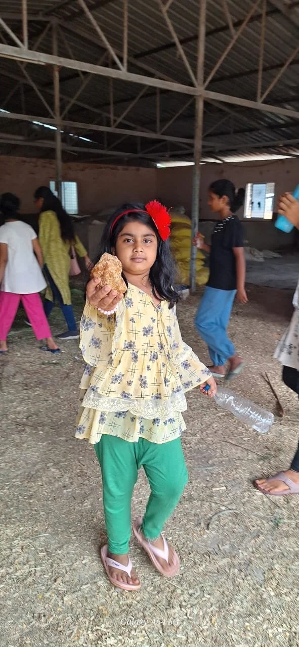 WhatsApp Image 2024-06-10 at 12.40.24 PM.jpeg