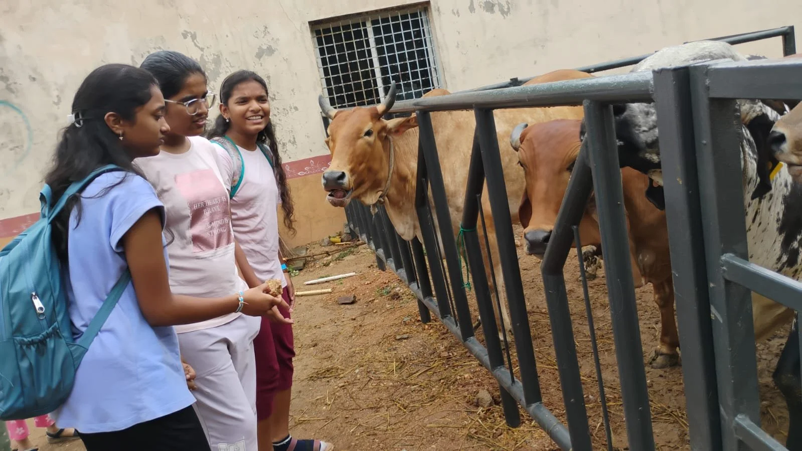 WhatsApp Image 2024-06-09 at 11.58.49 AM.jpeg