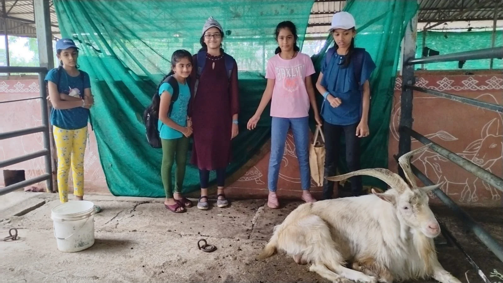 WhatsApp Image 2024-06-09 at 11.41.46 AM.jpeg