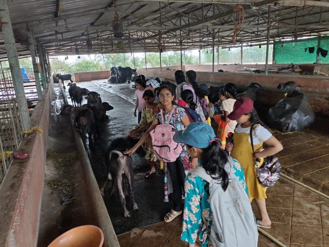 WhatsApp Image 2024-06-09 at 11.30.11 AM (1).jpeg