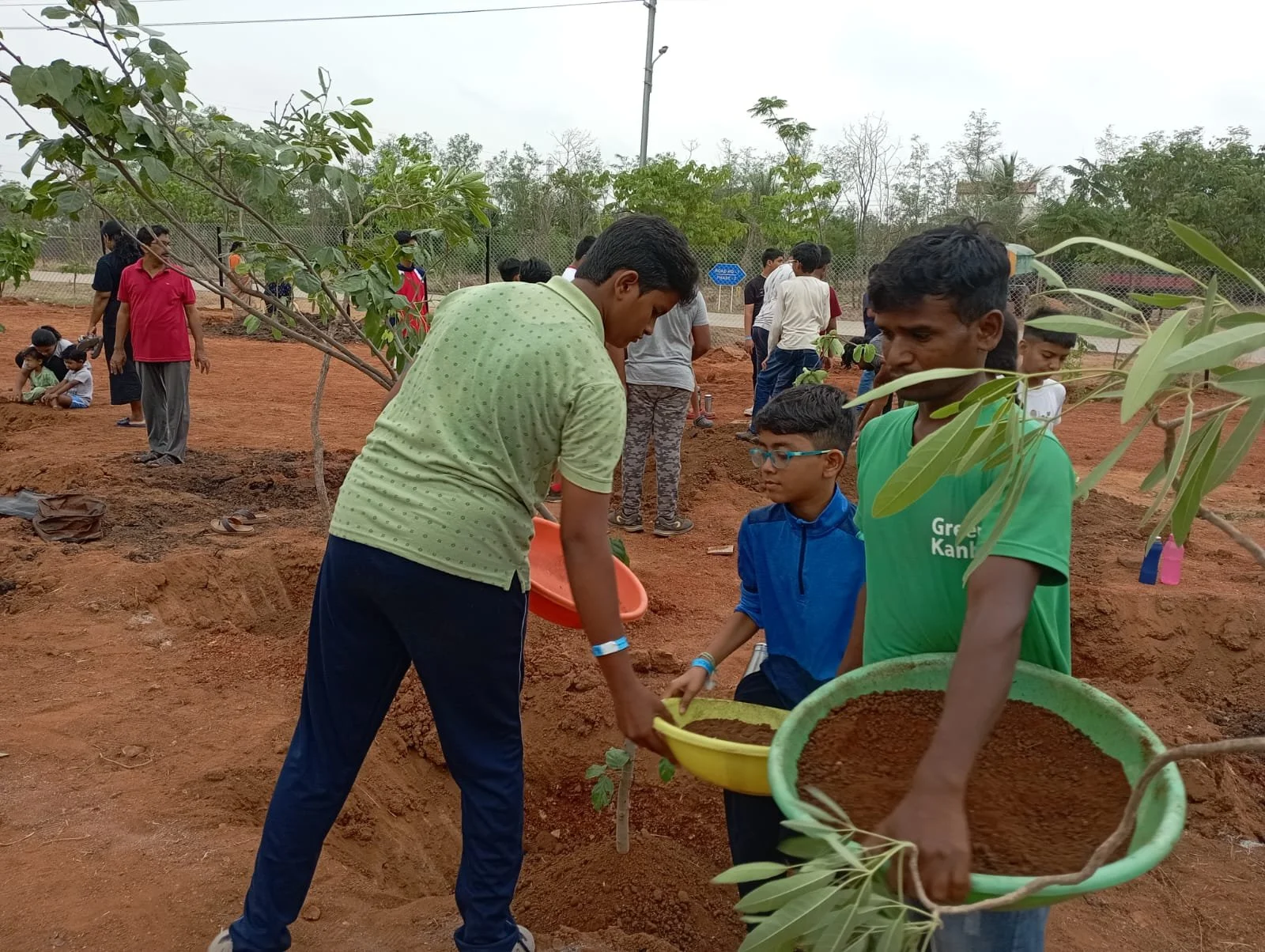 People planting trees in a field.