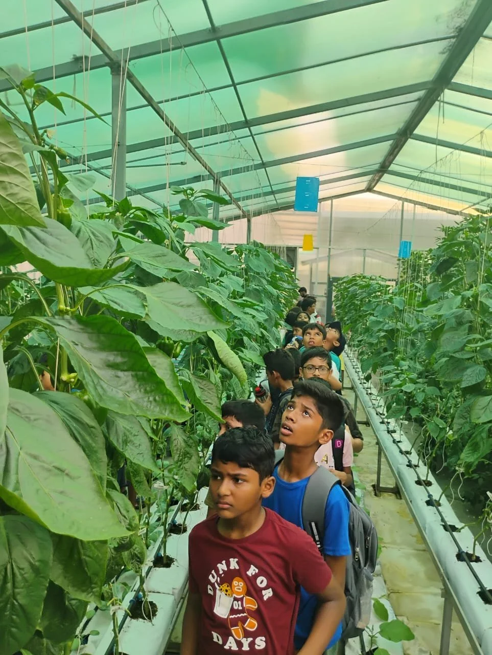 WhatsApp Image 2024-06-08 at 5.28.30 PM.jpeg