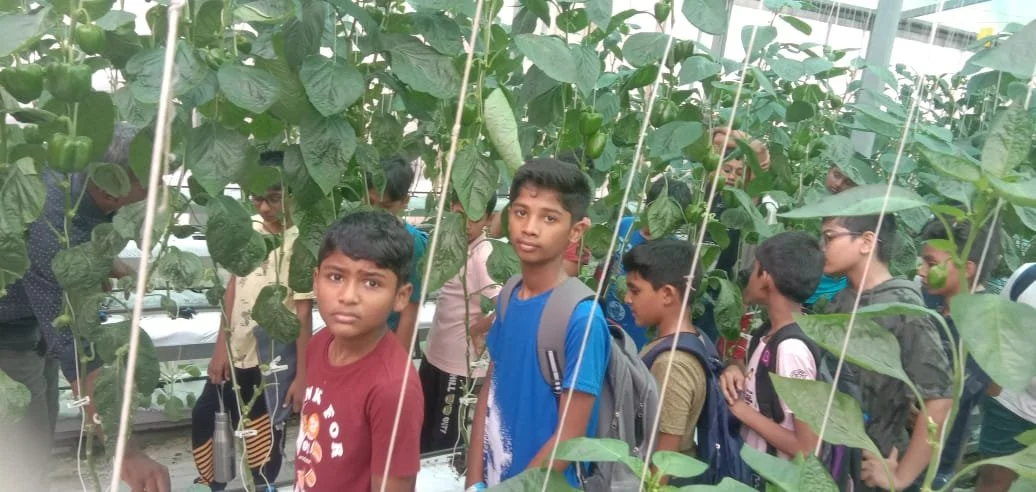 WhatsApp Image 2024-06-08 at 5.37.25 PM (1).jpeg