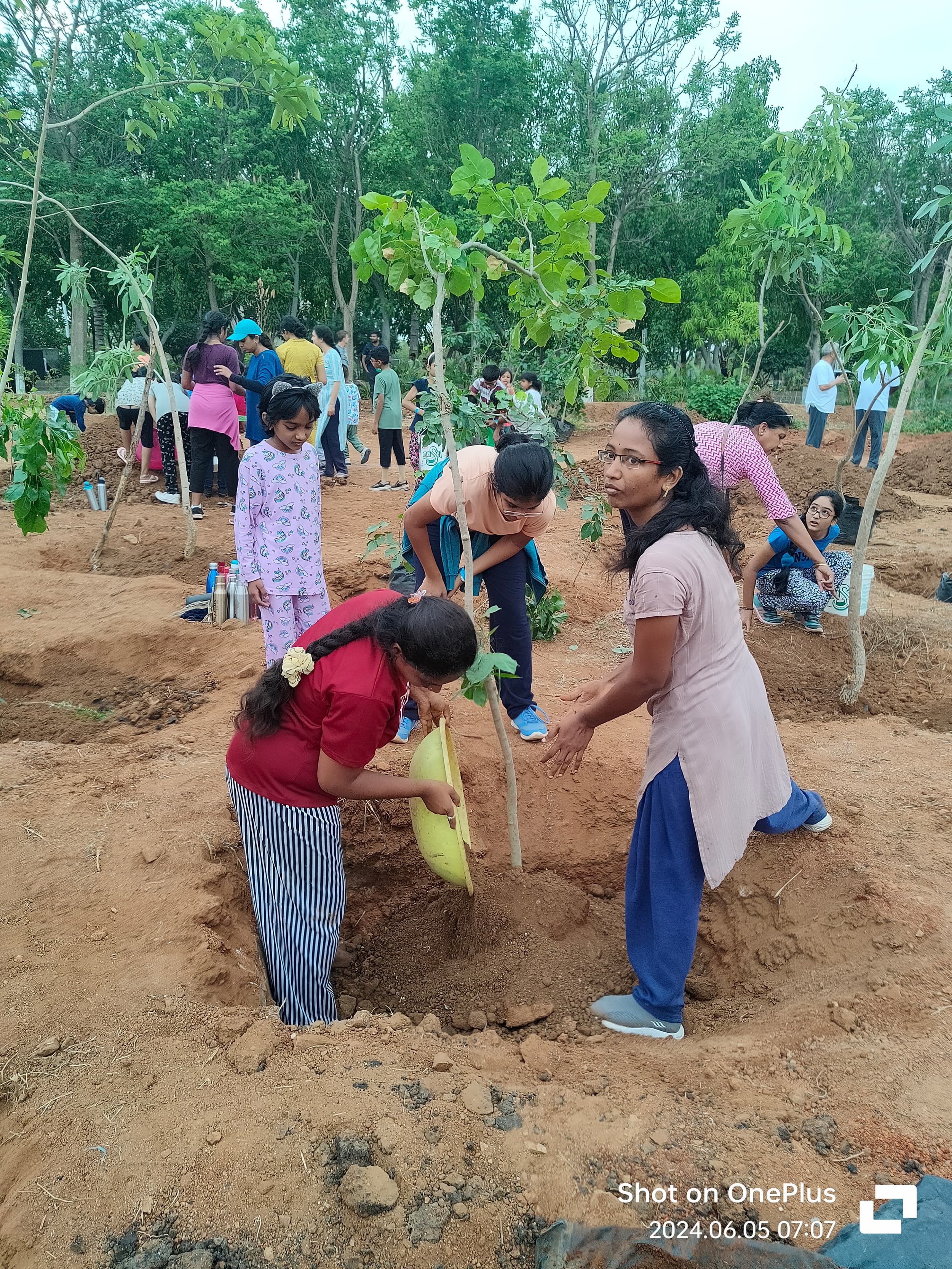 Group of children and adults planting a young tree in a dug hole in a community or school garden, with other people in the background participating in similar activities.