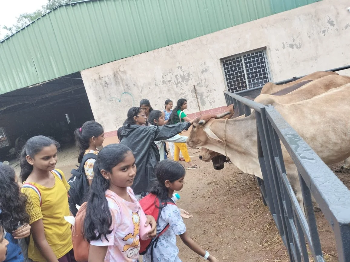 WhatsApp Image 2024-06-09 at 11.47.43 AM.jpeg