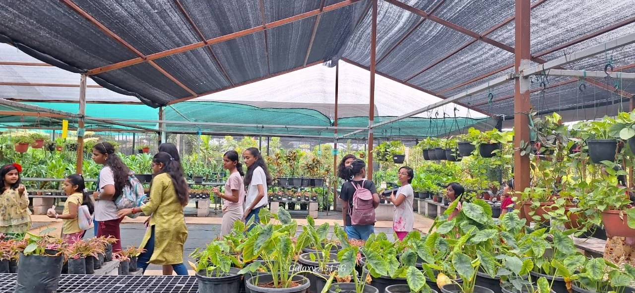 WhatsApp Image 2024-06-10 at 12.41.17 PM.jpeg