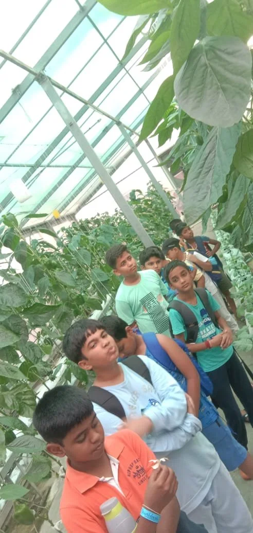 WhatsApp Image 2024-06-08 at 5.35.22 PM.jpeg