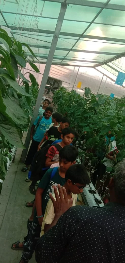 WhatsApp Image 2024-06-08 at 5.37.26 PM (1).jpeg