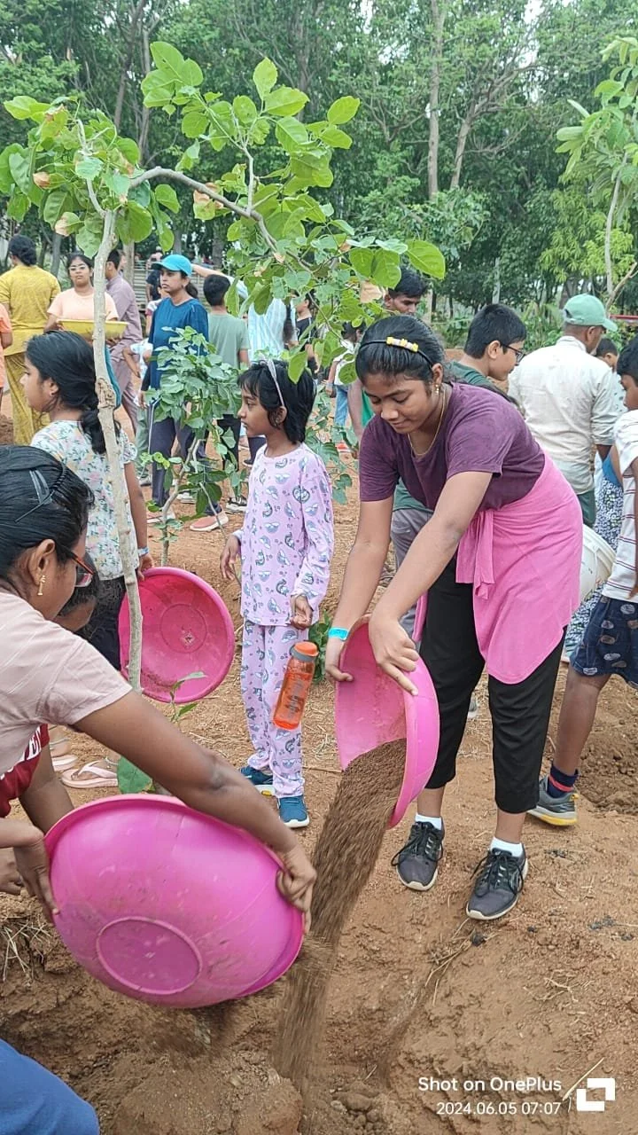 People planting a tree in a park or forested area, with some holding pink buckets of soil.