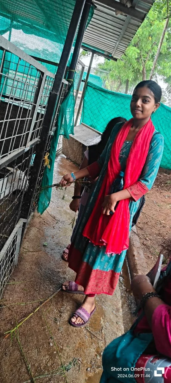 WhatsApp Image 2024-06-09 at 1.46.25 PM.jpeg