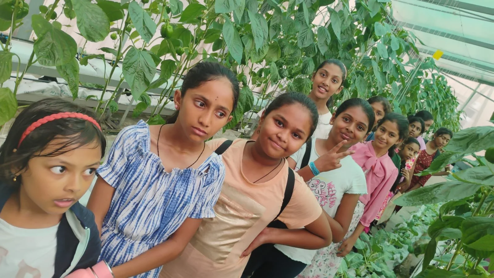 WhatsApp Image 2024-06-08 at 5.45.18 PM (1).jpeg