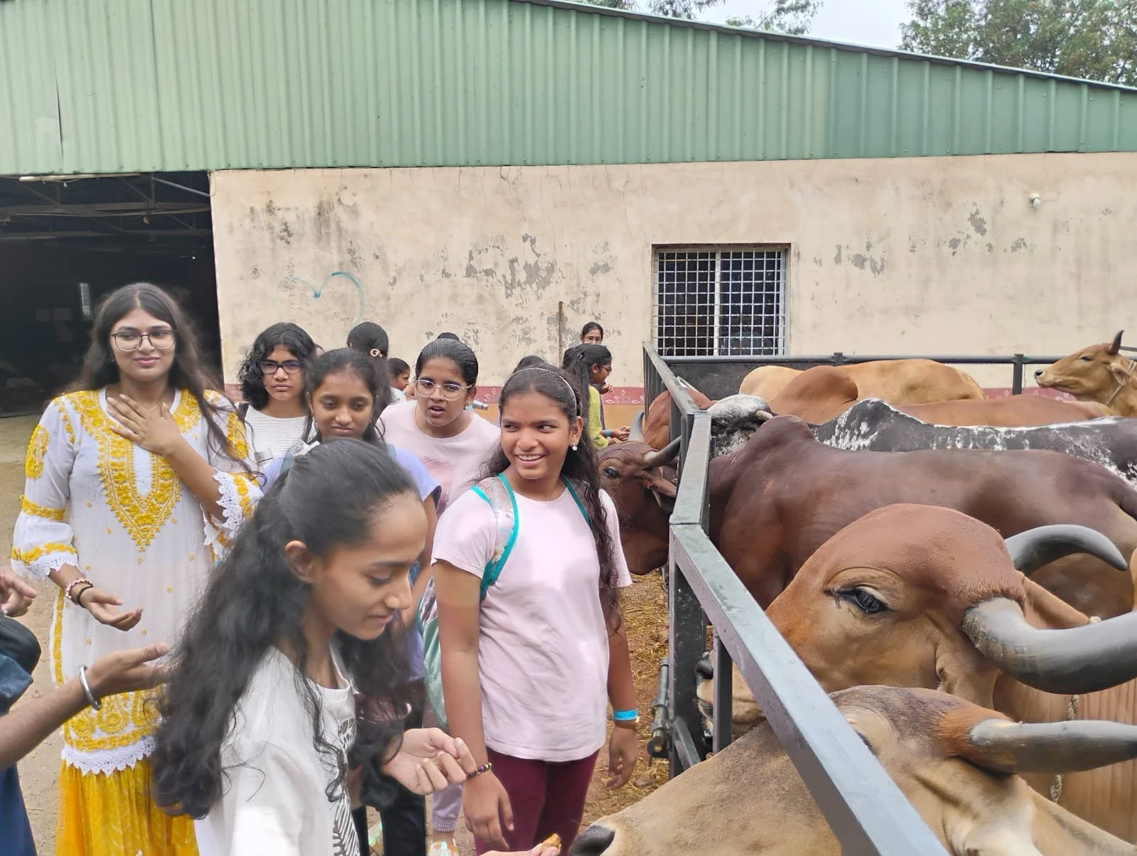 WhatsApp Image 2024-06-09 at 12.00.38 PM.jpeg