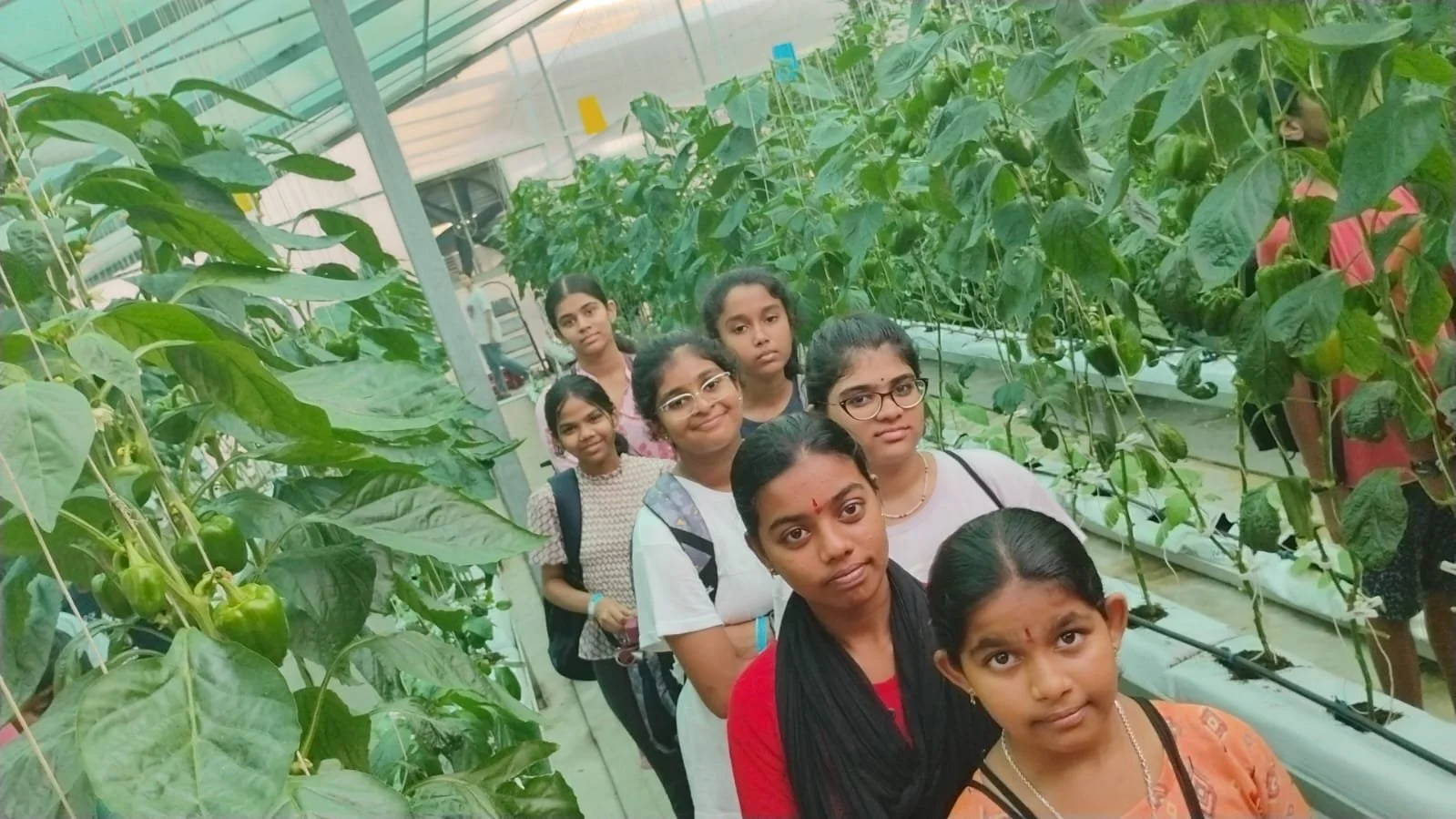 WhatsApp Image 2024-06-08 at 6.06.14 PM.jpeg