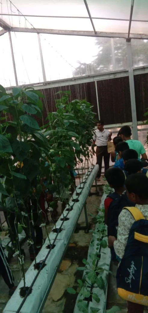 WhatsApp Image 2024-06-08 at 5.37.23 PM.jpeg