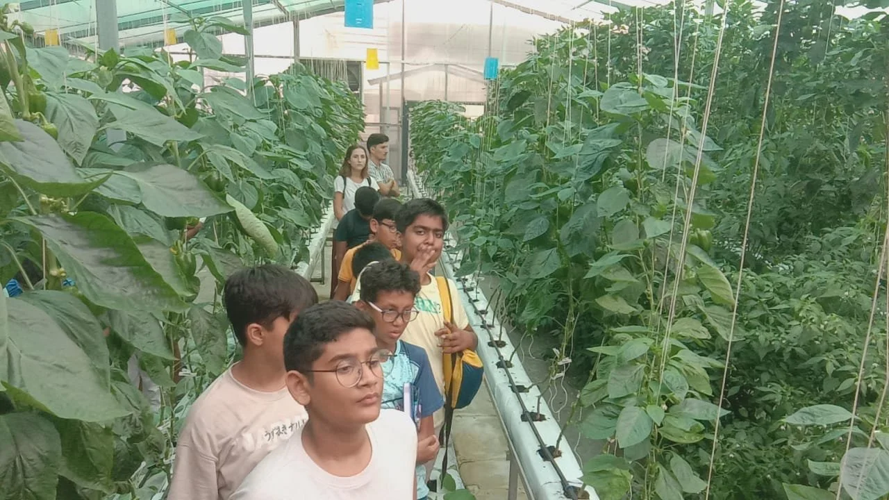 WhatsApp Image 2024-06-08 at 5.37.22 PM.jpeg