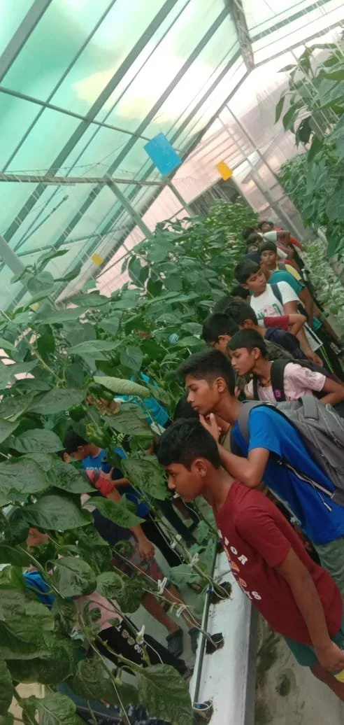 WhatsApp Image 2024-06-08 at 5.37.26 PM.jpeg