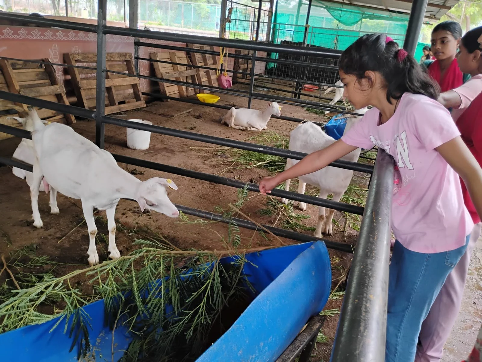 WhatsApp Image 2024-06-09 at 11.44.55 AM.jpeg