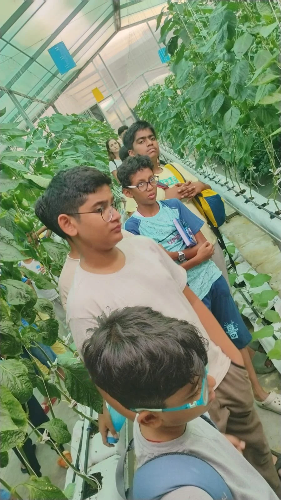 WhatsApp Image 2024-06-08 at 5.33.30 PM.jpeg