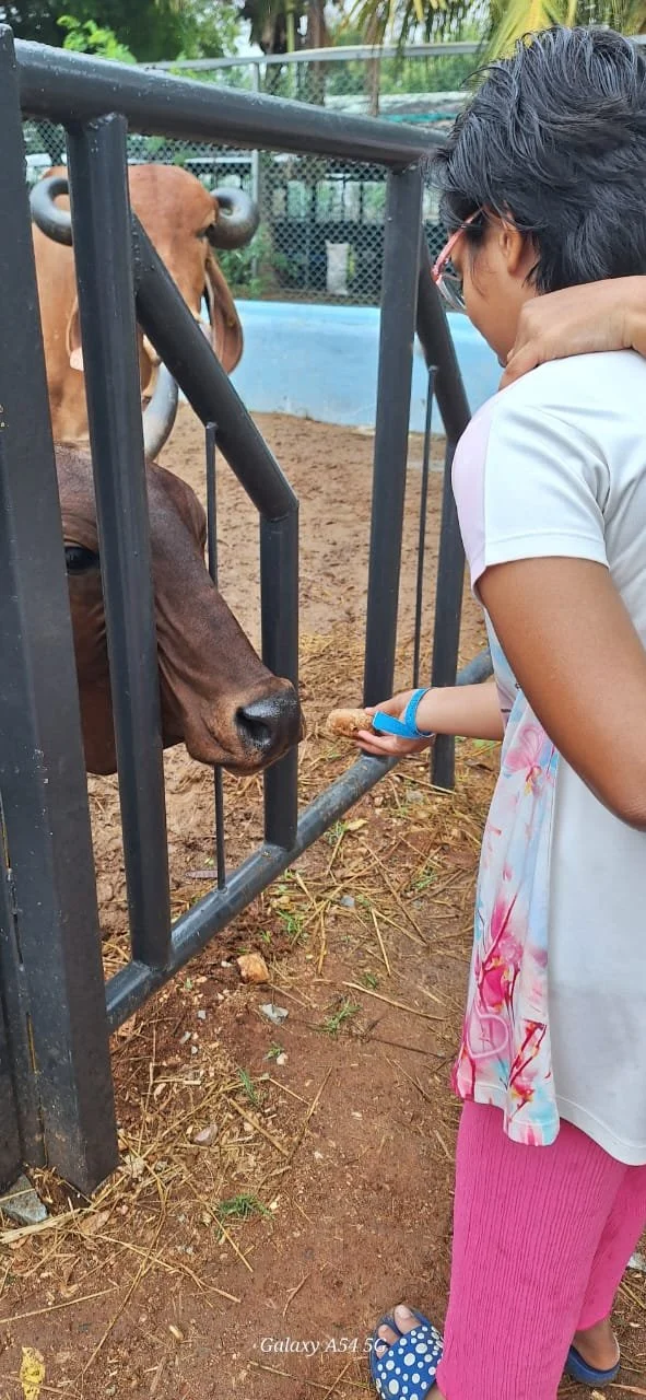 WhatsApp Image 2024-06-10 at 12.40.23 PM.jpeg