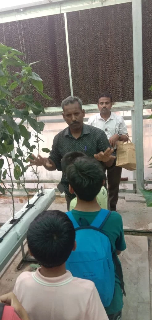 WhatsApp Image 2024-06-08 at 5.37.24 PM.jpeg